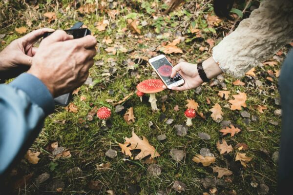 Häufige Fehler vermeiden Smartphone-Fotografie Häufige Fehler beim Fotografieren mit dem Smartphone