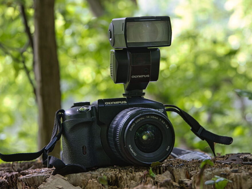 Olympus-Kamera mit Blitzgerät auf einem Baumstamm im Freien – Blitzen beim Fotografieren