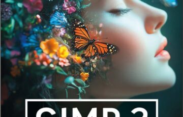 Gimp 3 Buch Praxiswissen für Einsteiger von Winfried Seimert