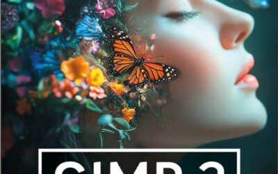 Gimp 3 Buch Praxiswissen für Einsteiger von Winfried Seimert