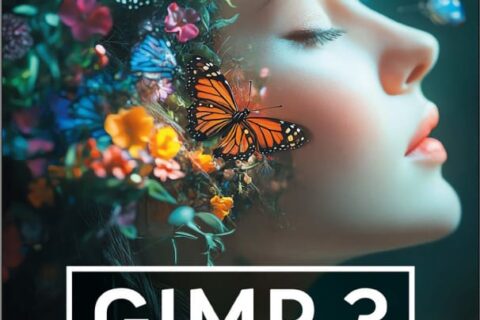 Gimp 3 Buch Praxiswissen für Einsteiger von Winfried Seimert