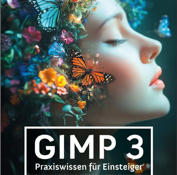 Gimp 3 Buch Praxiswissen für Einsteiger von Winfried Seimert