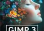 Gimp 3 Buch Praxiswissen für Einsteiger von Winfried Seimert