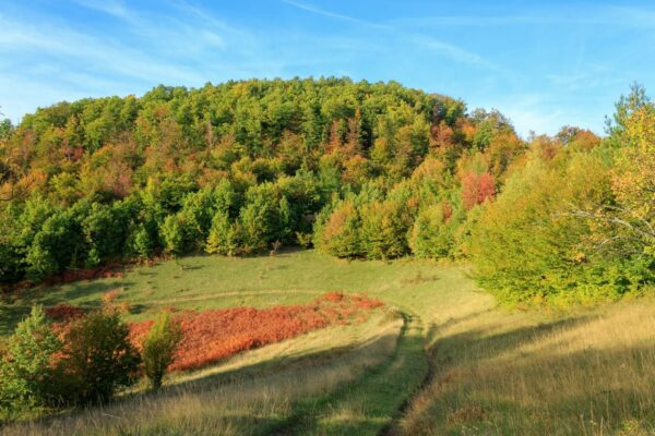 Landschaft mit sanften Farben und natürlichem Licht – Beispiel für natürliche Fotobearbeitung