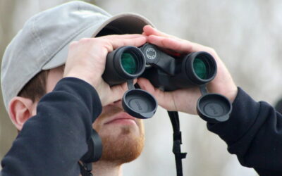 Mann mit Bart nutzt ein Fernglas zur Motivsuche in der Natur
