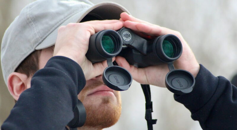 Fernglas für Fotografen: Warum dieses Tool dein wichtigstes Zubehör wird 12 Mann mit Bart nutzt ein Fernglas zur Motivsuche in der Natur