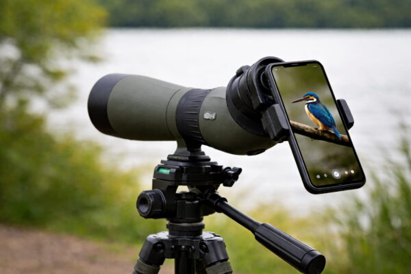 Smartphone am Spektiv mit Adapter für Digiscoping in der Naturfotografie