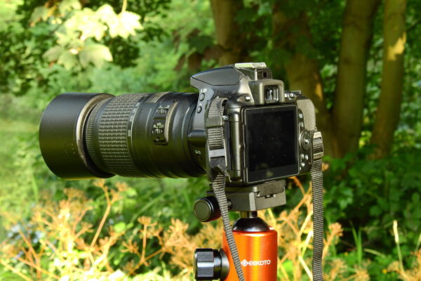 Nikon D5600 mit Teleobjektiv auf Stativ für Vogelfotografie im Garten