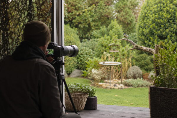 Fotograf mit Teleobjektiv fotografiert einen Vogel aus geschützter Position im Garten